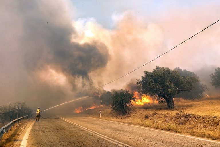 Σε πύρινο κλοιό Βοιωτία και Αργολίδα – Επί ποδός η Πυροσβεστική