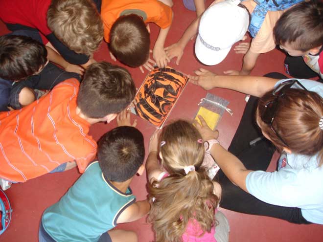 Χαλκιδική: Εντοπίστηκαν 14 κρούσματα κορωνοϊού σε κατασκήνωση