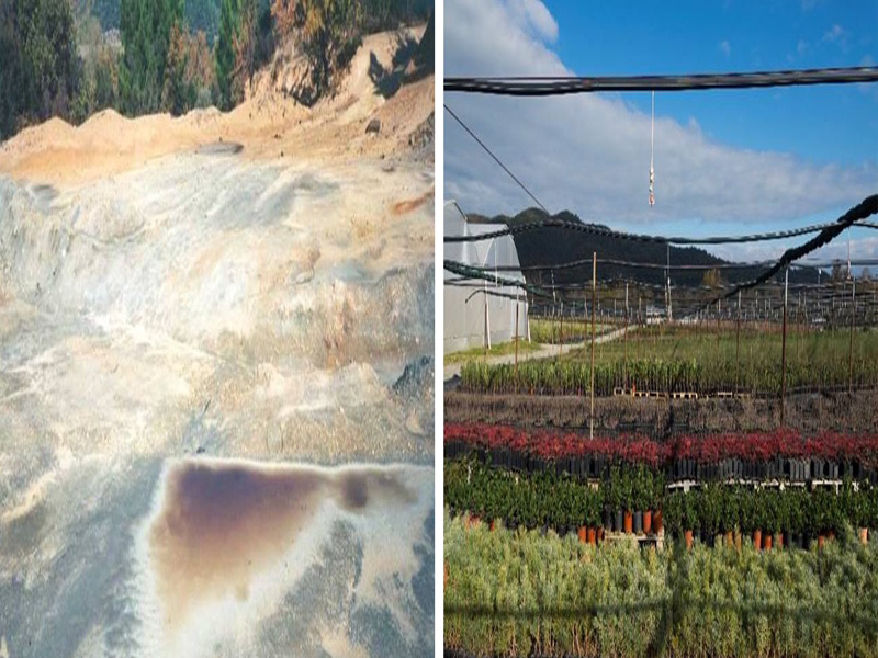 Δείτε πώς η Ελληνικός Χρυσός αποκατέστησε το περιβάλλον μετά τα έργα στην Ολυμπιάδα Χαλκιδικής