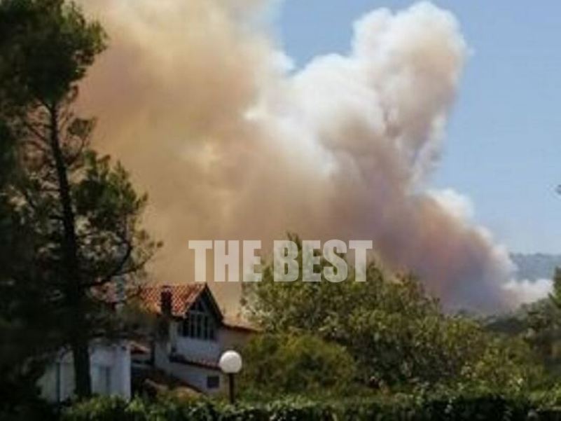 Νέα μάχη με τις φλόγες στη Ζήρια Αχαΐας! Εκκενώνονται οικισμοί! Έκλεισε η εθνική! (ΦΩΤΟ)