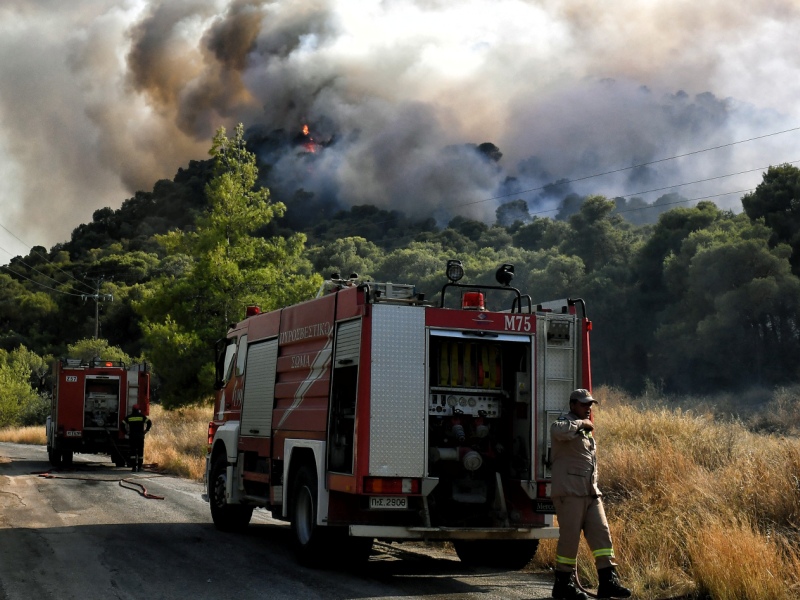 Μάχη με τις φλόγες στη Χαλκίδα – Κοντά σε σπίτια η φωτιά