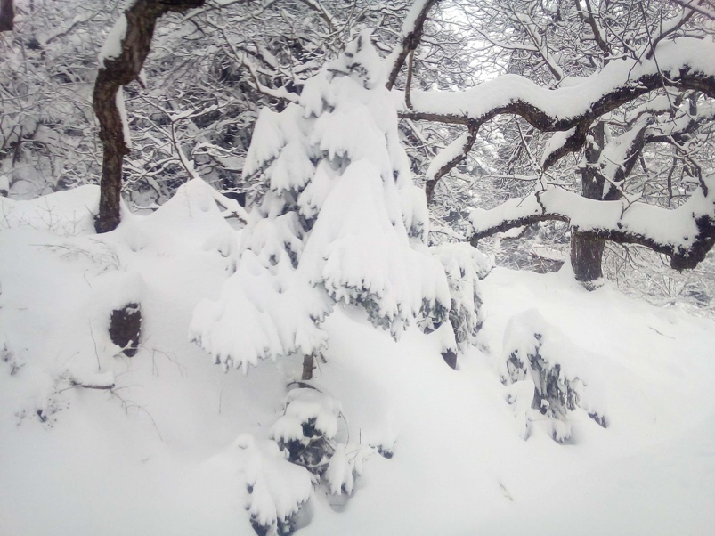 Έρχεται ανοιξιάτικος…. χιονιάς!