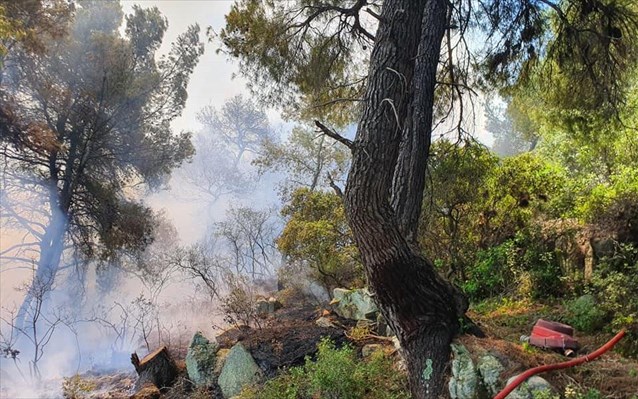 Χαλκιδική: Υπό έλεγχο πυρκαγιά σε αγροτοδασική έκταση στη Φούρκα