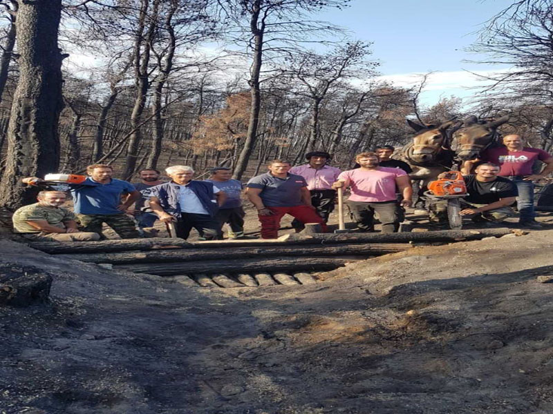 «Τρέχουν» τα έργα στα καμένα της Εύβοιας – Χρονοδιάγραμμα και χρηματοδοτήσεις