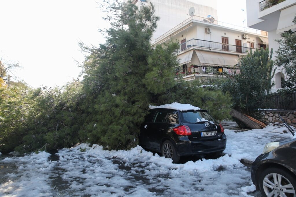 Πώς θα αποζημιώσει ο Δήμος Αθηναίων ιδιοκτήτες ΙΧ που έπαθαν ζημιά από πτώσεις δέντρων