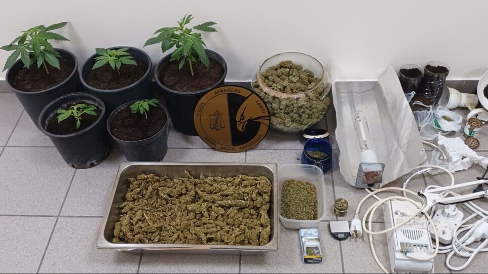 Σάμος: Xασισοκαλλιεργητές αντιστάθηκαν στους αστυνομικούς κατά τη διαδικασία σύλληψης