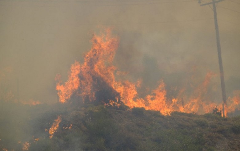 Φωτιά ξέσπασε σε δασική έκταση στην Πέλλα