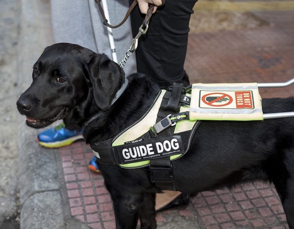 Οδηγός ταξί αρνήθηκε να επιβιβάσει τυφλή λόγω του σκύλου-οδηγού της και καταδικάστηκε από τη δικαιοσύνη
