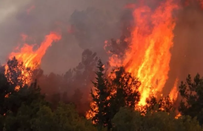 Αναζωπυρώθηκε η φωτιά στη Σάμο