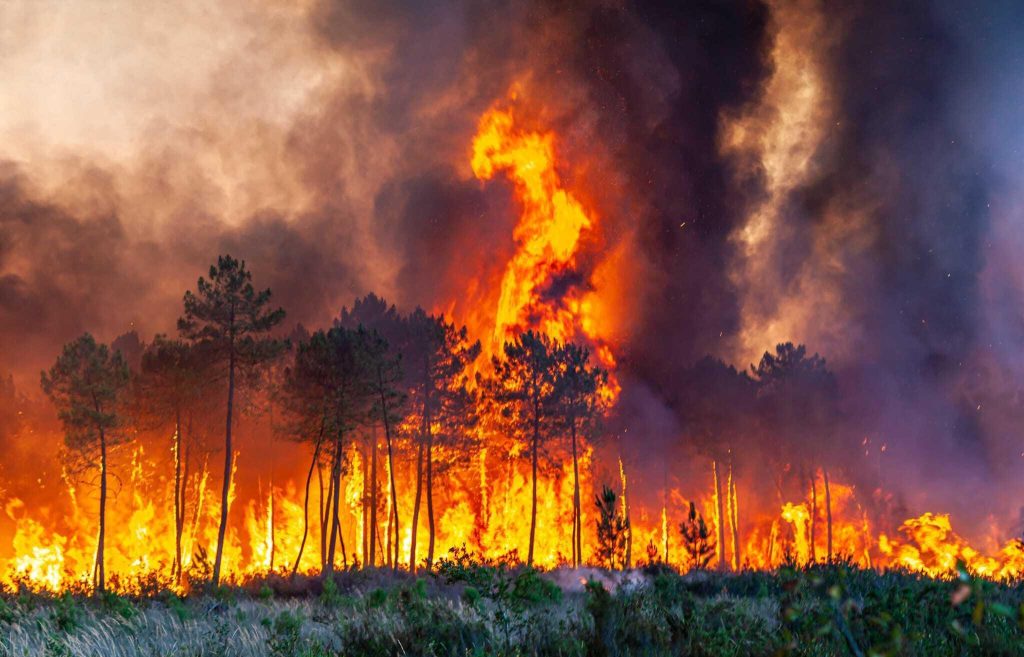 «Μαύρο» 2023! Χρονιά φονικών και καταστροφικών δασικών πυρκαγιών στον κόσμο