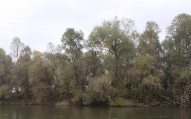 Έβρος: Εκτός ελληνικής επικράτειας η νησίδα με τους 40 παγιδευμένους μετανάστες, λέει η αστυνομία