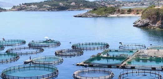 Πυροβολισμοί σε καταδίωξη λαθραλιέων στον Μύτικα Αιτωλοακαρνανίας