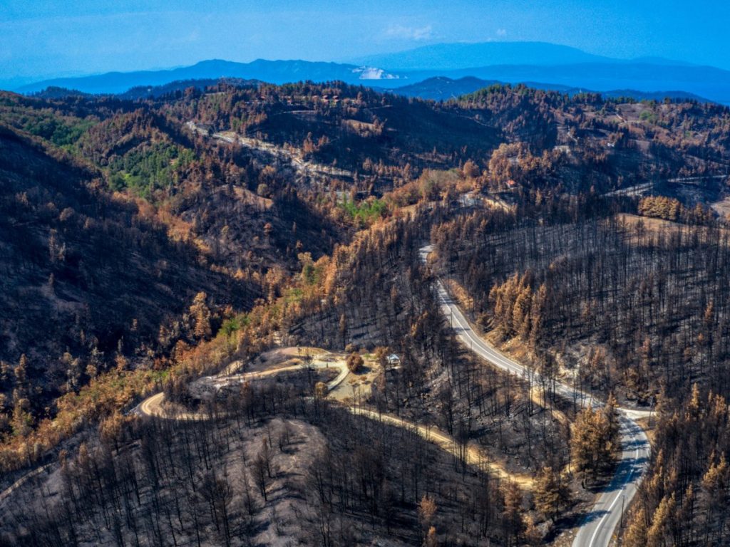 Εύβοια: Πυρκαγιά ξέσπασε στην Κάρυστο