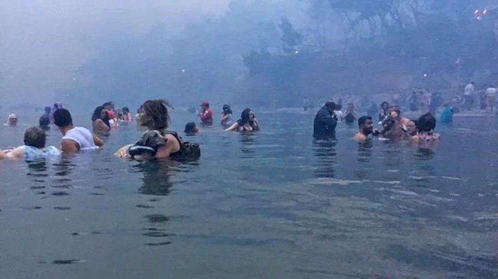 Μάτι: Τι αποκαλύπτει ο πραγματογνώμονας Δημήτρης Λιότσιος για τη διαχείριση των εναέριων μέσων