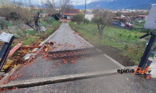 Ζημιές από ανεμοστρόβιλο στην Παραμυθιά Θεσπρωτίας (ΒΙΝΤΕΟ)