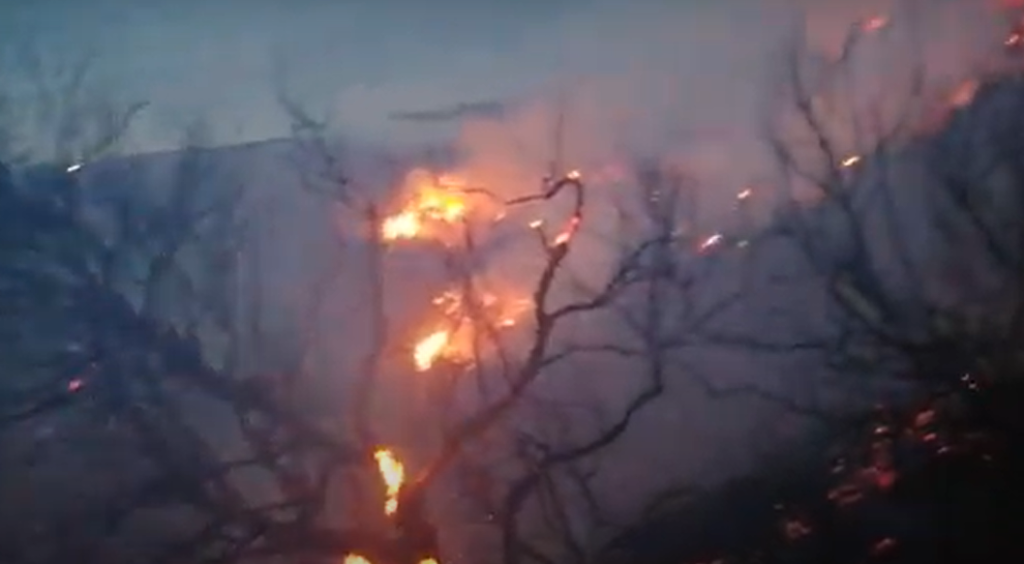 Xανιά: Συνελήφθη 54χρονος για τη φωτιά στο Σφηνάρι που έκανε στάχτη 38 στρέμματα