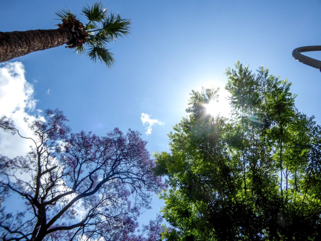 Μικρή υποχώρηση θερμοκρασίας και έντασης ανέμων