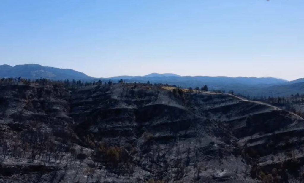 Φωτιά στη Ρόδο: Συνολικά 50.000 ελαιόδεντρα και 2.500 ζώα κάηκαν