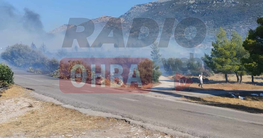 Νεκρός από τις αναθυμιάσεις κτηνοτρόφος στον Πρόδρομο της Βοιωτίας