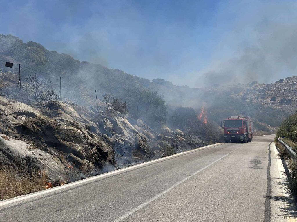 Φωτιά στο δάσος της Κέρης στην Κρήτη (ΒΙΝΤΕΟ)