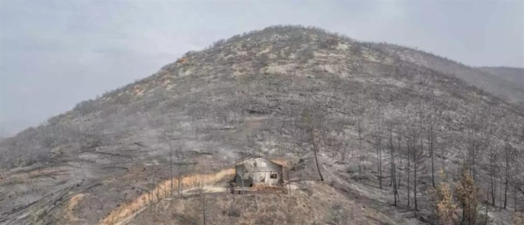 Φωτιά στον Έβρο – ΥΠΕΝ: Αναστέλλονται οι οικονομικές δραστηριότητες στη δασική περιοχή που κάηκε