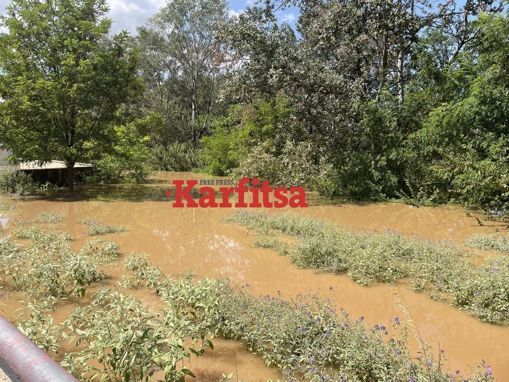 Θεσσαλία: Πνίγηκαν ζώα, καλλιέργειες βυθίστηκαν κάτω απ’ το νερό – Ανυπολόγιστες οι καταστροφές σε κτηνοτρόφους και αγρότες