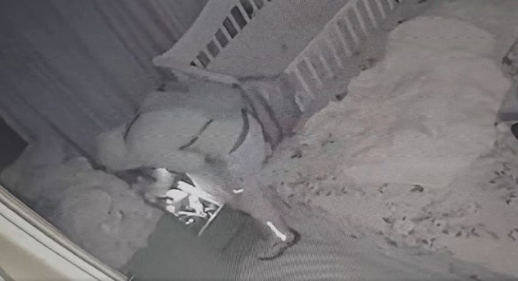 Καρέ-καρέ η διάρρηξη στο σπίτι του Γιάννη Καλλιάνου! (ΒΙΝΤΕΟ)