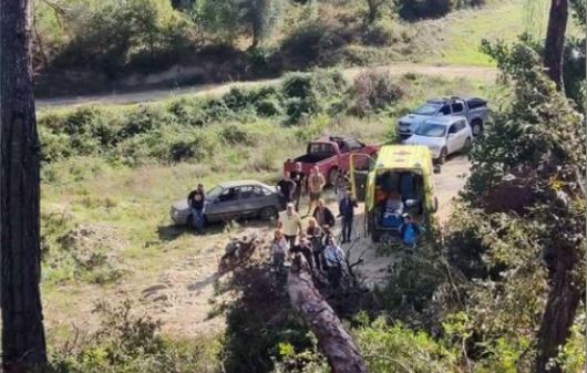 Γλίτωσε από θαύμα υλοτόμος στη Χαλκιδική! Τον πλάκωσε το πεύκο που έκοβε!