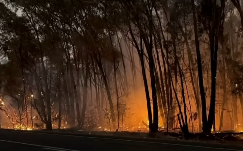Αυστραλία: Εκτός ελέγχου φωτιά στη Βικτώρια – Εντολή σε χιλιάδες ανθρώπους να εγκαταλείψουν τα σπίτια τους