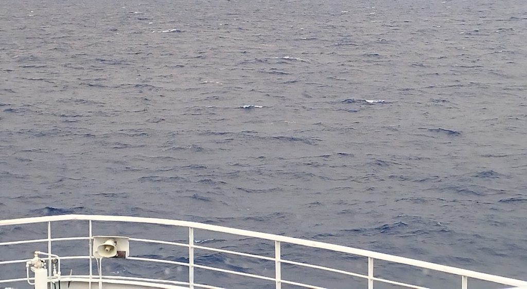 Λιμενικό: Άντρας πήδηξε μεσοπέλαγα από το πλοίο της γραμμής Χανιά–Πειραιάς – Άφησε σημείωμα αυτοχειρίας