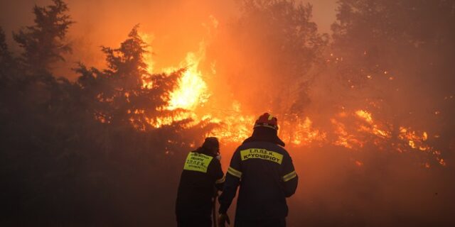 Φωτιά σε δασική έκταση στην Αμυγδαλιά Λάρισας