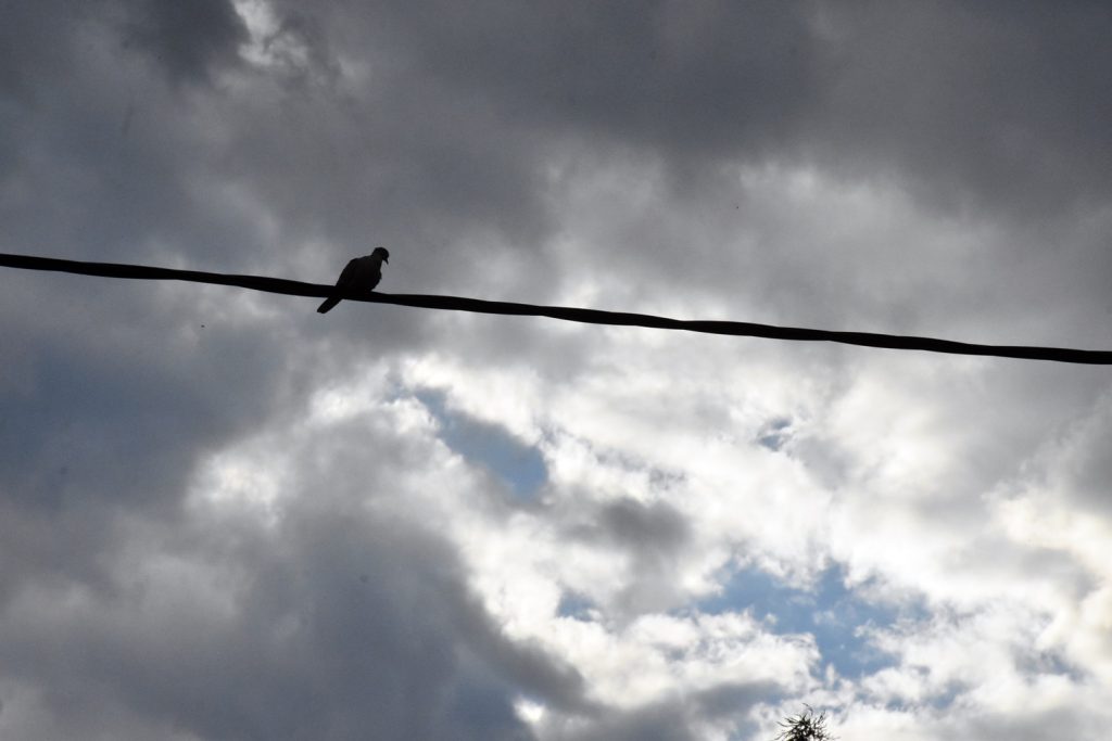 Έρχονται λασποβροχές και πτώση θερμοκρασίας! Αναλυτική πρόγνωση για Τρίτη και Τετάρτη