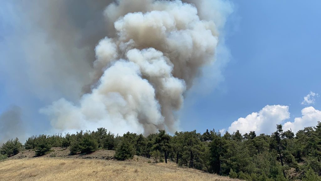 Μεγάλη φωτιά στην περιοχή της Βρύσης Τυρνάβου