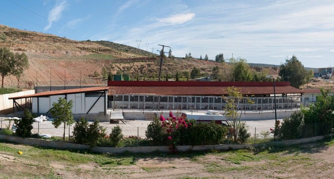 Εξαπάτηση φιλόζωων με «δόλωμα» το ΔΙΚΕΠΑΖ