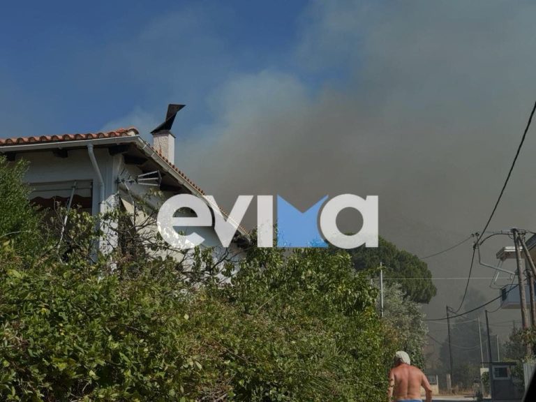 Συναγερμός για πυρκαγιά κοντά σε σπίτια στην Εύβοια! (VIDEO)