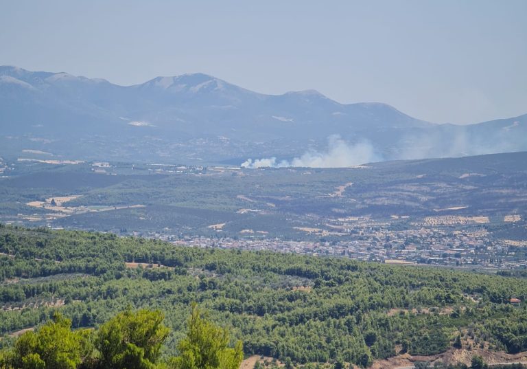 Πυρκαγιά στην Εύβοια στην περιοχή Πισσώνα