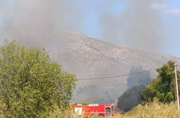 Συναγερμός για πυρκαγιά στα Καλύβια Αττικής!