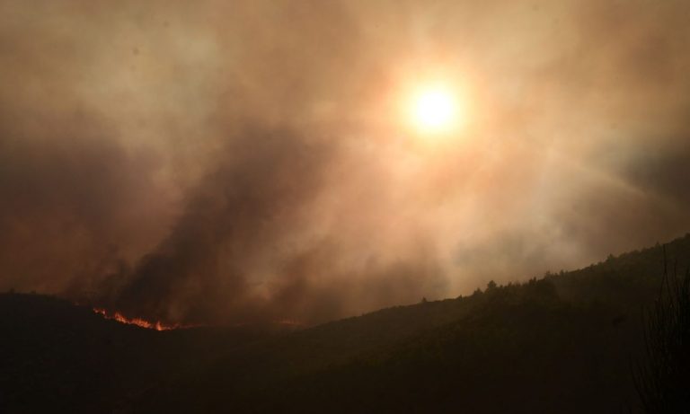 Ανησυχητική παραδοχή Λέκκα: «Χάνονται τα δάση»