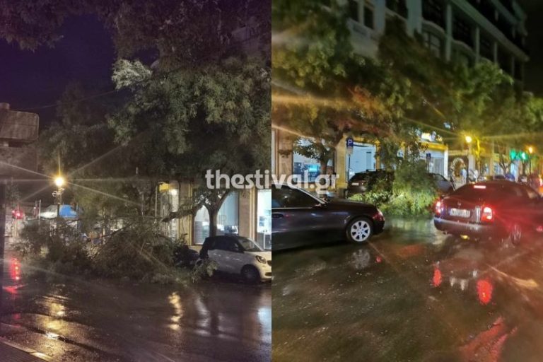 Πτώσεις Δέντρων στη Θεσσαλονίκη λόγω κακοκαιρίας (photo+video)