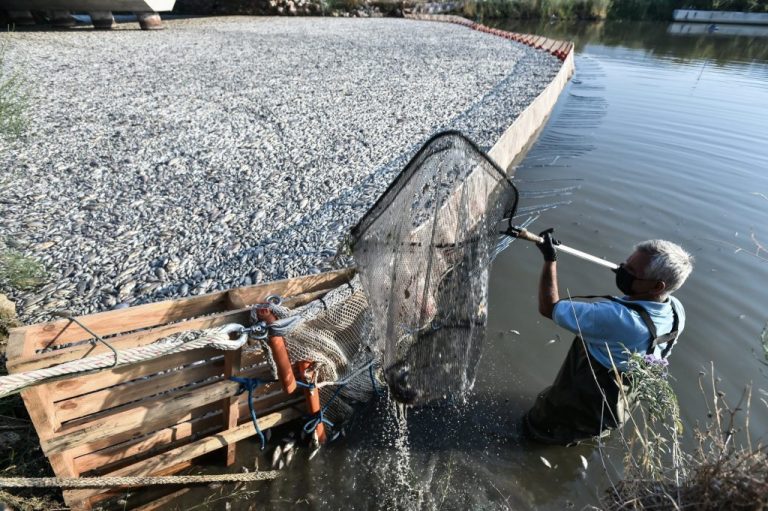 Βόλος: Πτώση τζίρου έως 80% στις επιχειρήσεις
