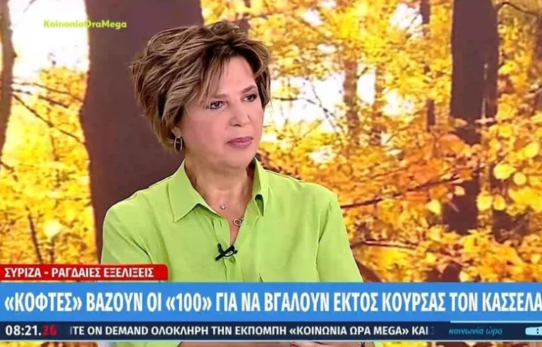 Γεροβασίλη: Ο Κασσελάκης ήταν μία δυσάρεστη εξέλιξη για τον ΣΥΡΙΖΑ