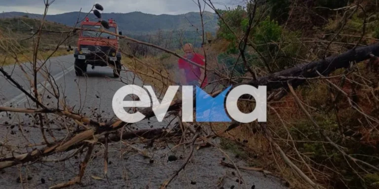 Η κακοκαιρία «Αtena» πλήττει την Εύβοια! (VIDEO)