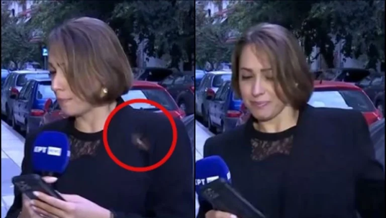 Επίθεση από έντομο σε ρεπόρτερ on air!(video)
