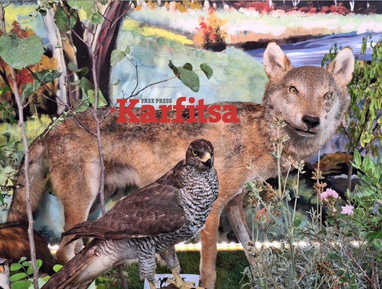 Ταριχευμένα ζώα και μανιτάρια στη ΔΕΘ (VIDEO & PHOTOS)