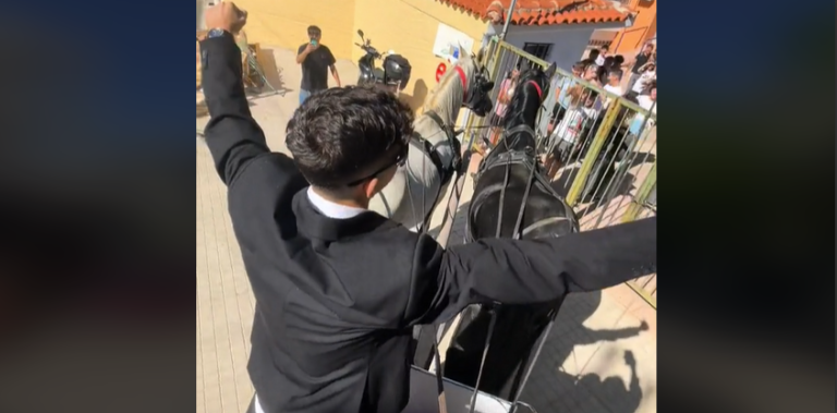 Άλογα, κουστούμι και κόκκινο χαλί για έναν πρόεδρο… του 15μελους! (video)