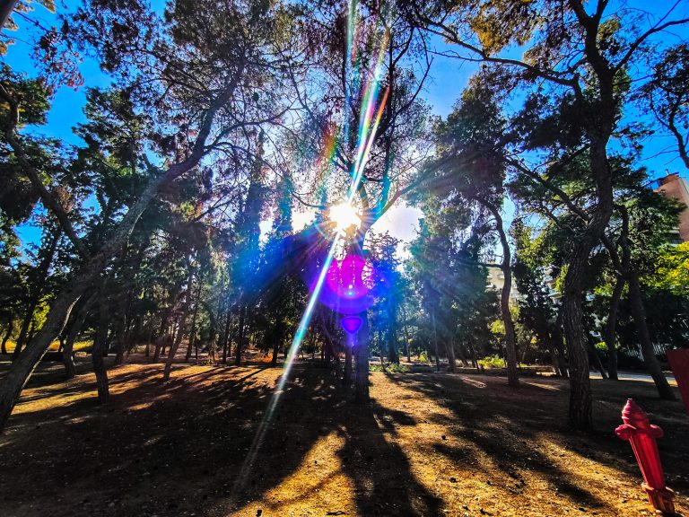 Με… ανοιξιάτικες διαθέσεις ο καιρός!