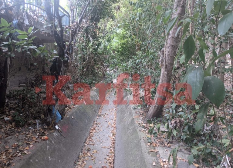 Μια άγνωστη «όαση» πρασίνου δίπλα σε ένα ιστορικό κτήριο της Θεσσαλονίκης (PHOTOS)