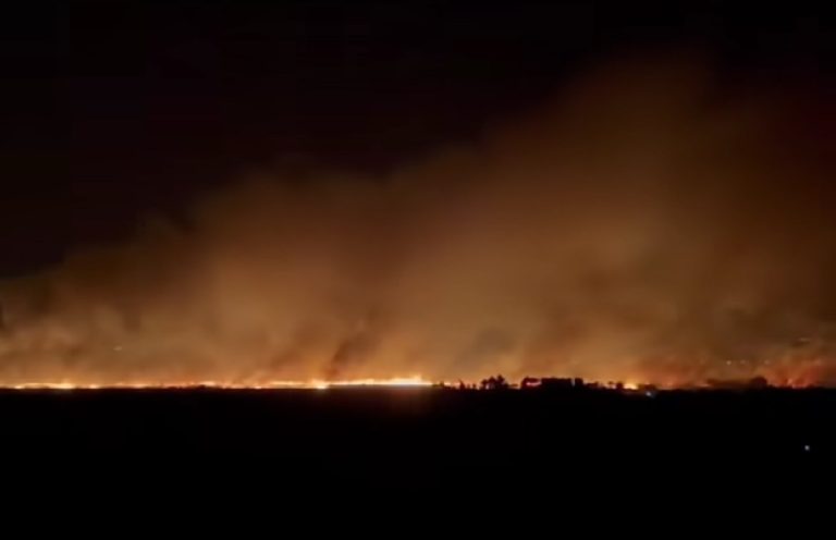 Μεγάλη φωτιά σε προστατευόμενο δάσος στη Στροφυλιά