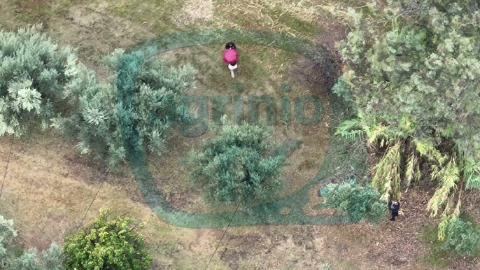 Βίντεο-ντοκουμέντο από την διαπραγμάτευση για να παραδοθεί ο δολοφόνος της Δώρας