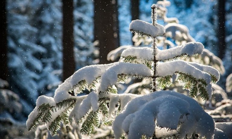 Χιόνια προ των πυλών στα ορεινά!